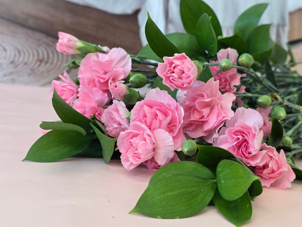 오늘의집 유스풀몰 5월 이달의 꽃 생화 정기배송 사진과 같은 꽃 배달