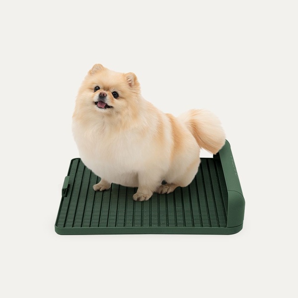 강아지 배변판 M 패드없이사용