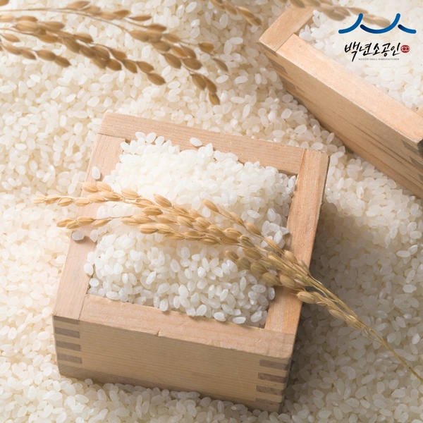 [당일도정] 경기미 백진주쌀 10kg 찰진밥맛 25년산 햅쌀 단일품종
