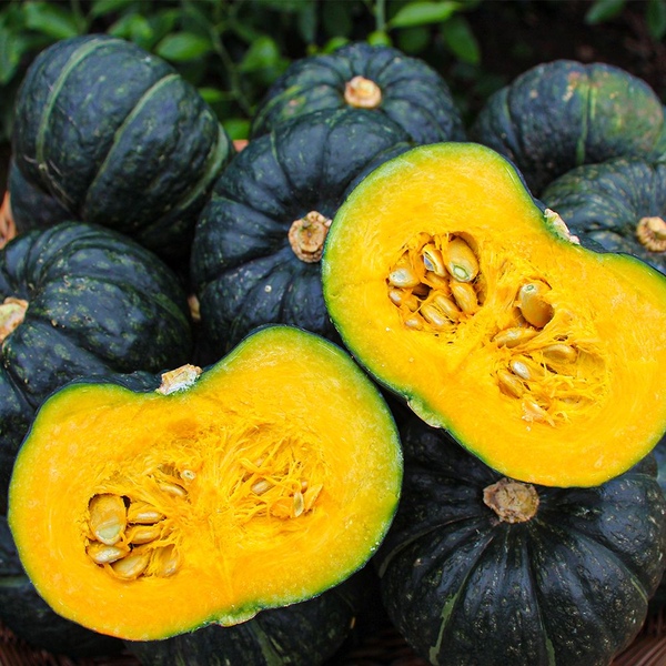 [제주] 특품 미니 밤호박 5kg 대용량 외 2kg / 7kg 제주 산지직송