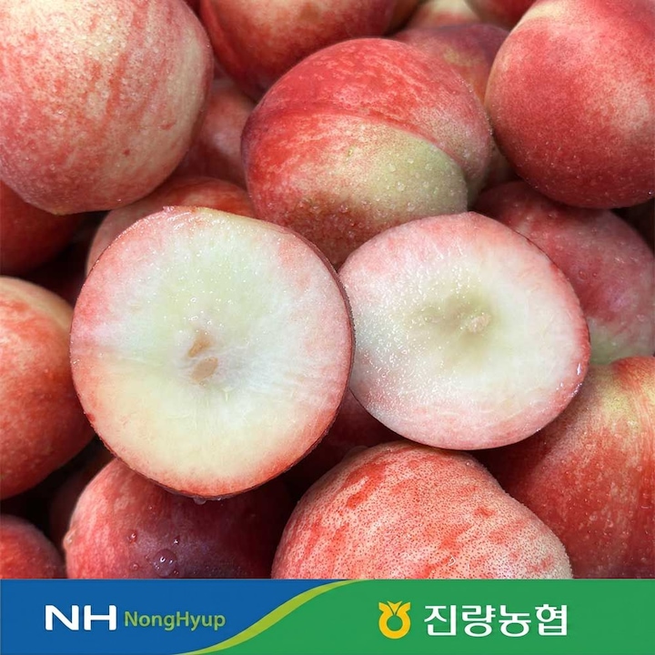 [오늘의집] 농협 [예약발송] 농협 새콤아삭한 천도복숭아 오월도 신선 신비복숭아 1kg 2kg