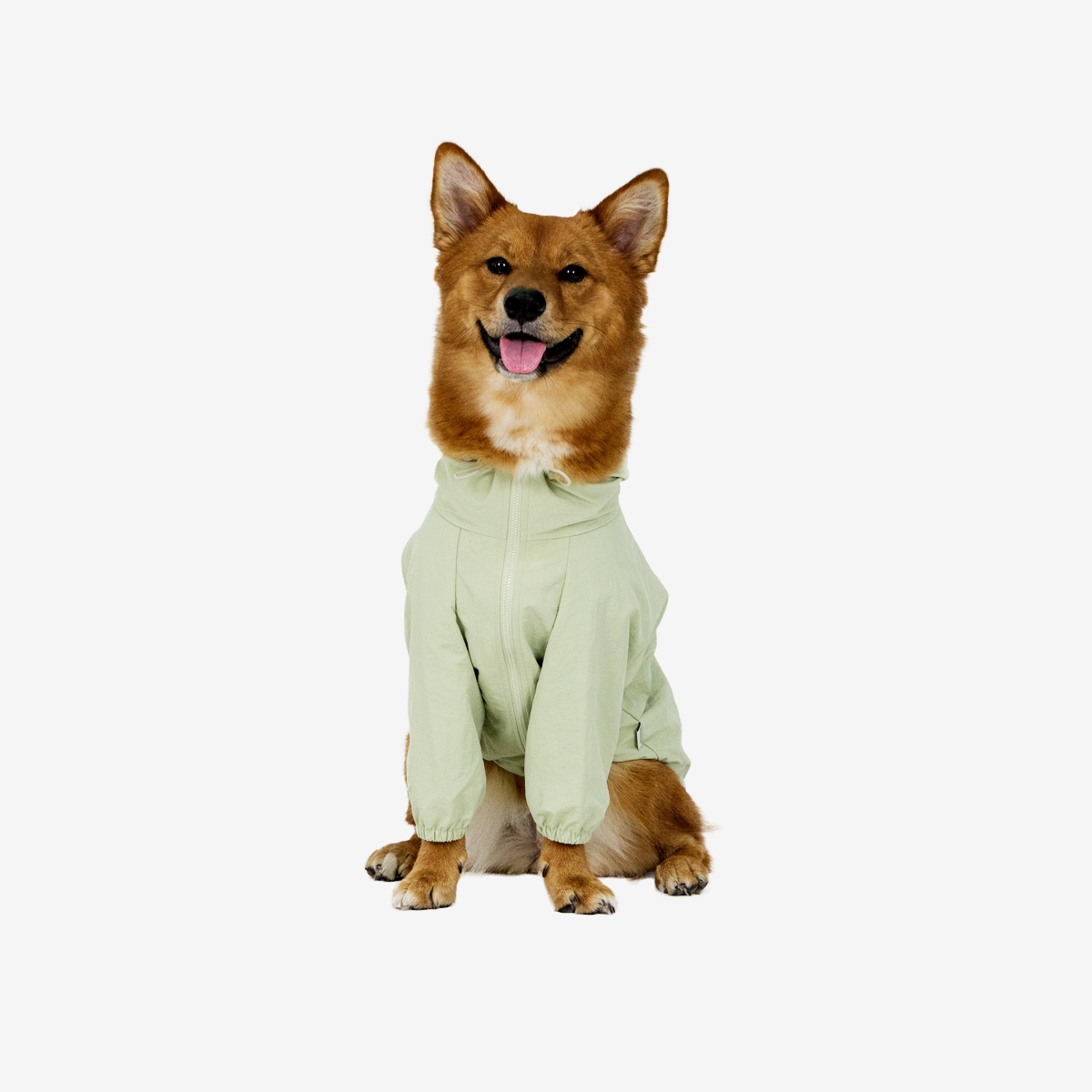 오늘의집 파우어 Signature Windbreaker_Green