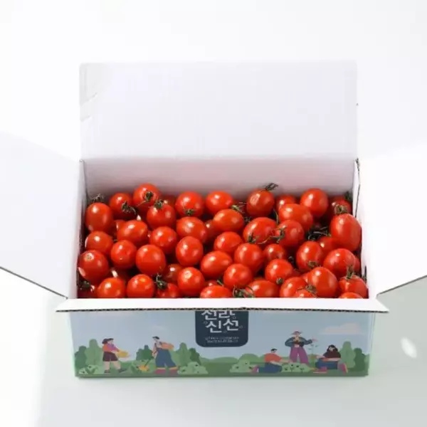 [전라신선] 싱싱탱글 대추방울토마토 1kg / 2kg 로얄과 엄선