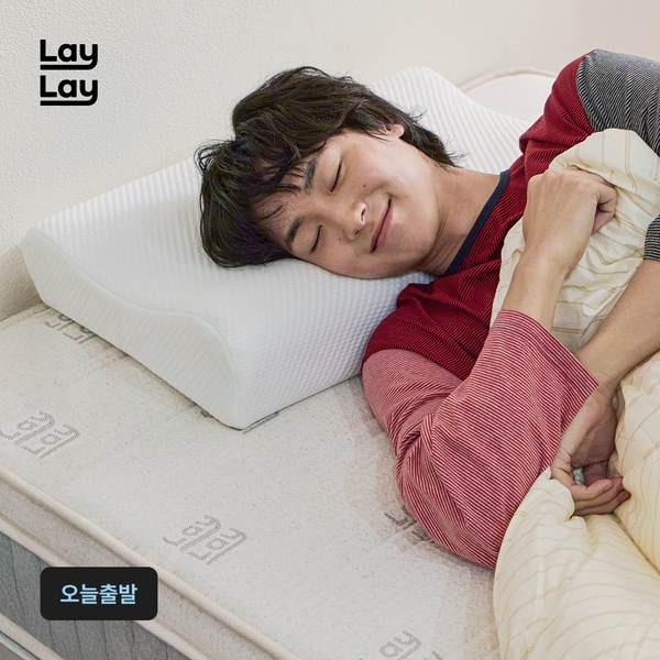 [오늘의집 단독] [런칭혜택] LayLay 메모리폼 필로우