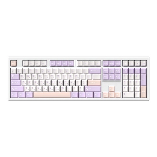archon AK55 BASIC 유무선 기계식 키보드 퍼플레인, 저소음 소나기