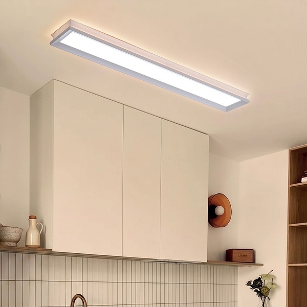 LED 루아스 프로 주방등 50W