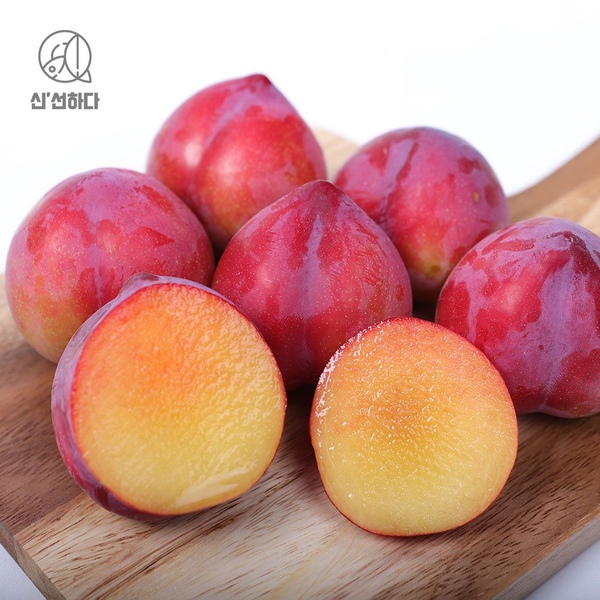 경북 여름 자두 2kg (대석, 후무사, 도담, 추희)