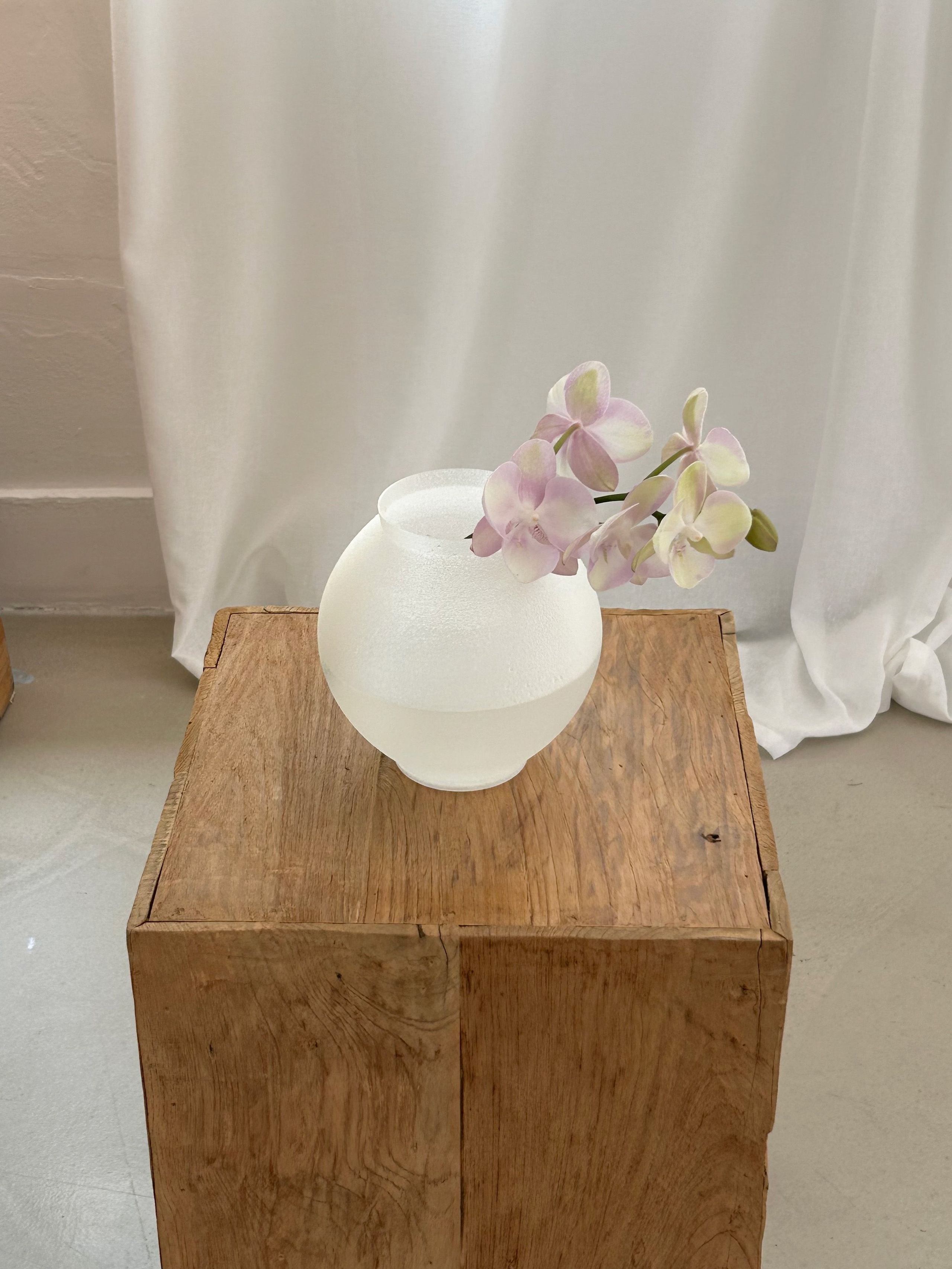 투명 달항아리 화병 (2size) 3D 프린팅 오브제 / Moon Jar 가격 추이 소안오브제 투명 달항아리 화병 (2size) 3D 프린팅 오브제 / Moon Jar - 최저가 57,500원