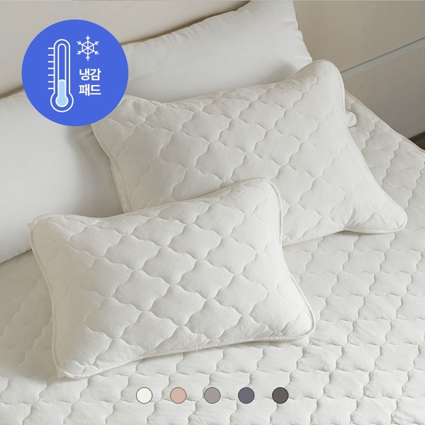[1+1] 시즌오프! 3초교체 시원한 냉감 밴딩형 여름 베개커버 2size 5colors