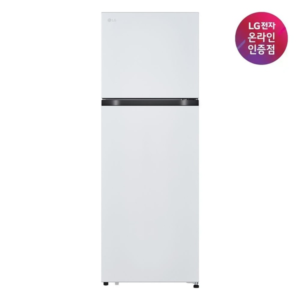 LG전자 LG 일반냉장고 B245W22 241L 화이트
