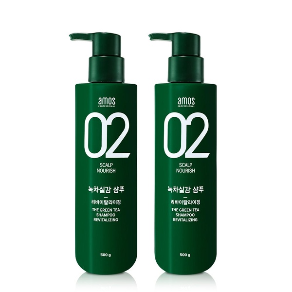 녹차실감 샴푸 리바이탈라이징 500g(지성) 2개
