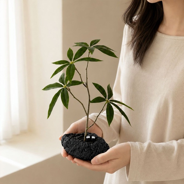 하이오브제 생화같은 파키라 미니 조화 화분 돌 화분 거실 인테리어 소품