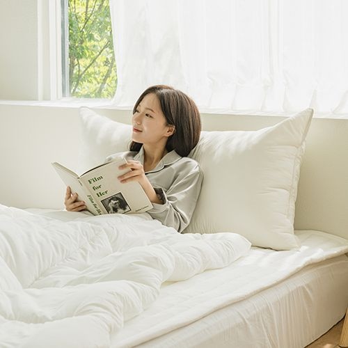 M2 알러지케어 먼지없는 대형 등받이 등쿠션 7컬러