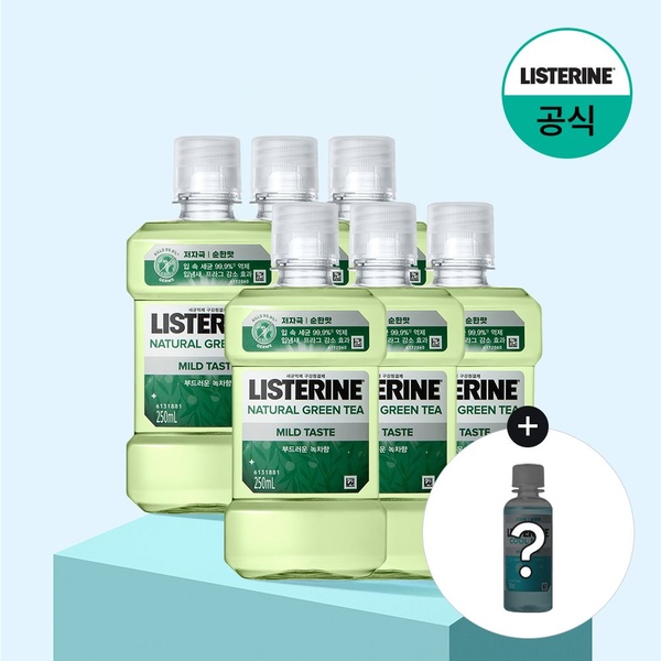 그린티 마일드 250mlx6+(증정)100ml 랜덤(마일드)