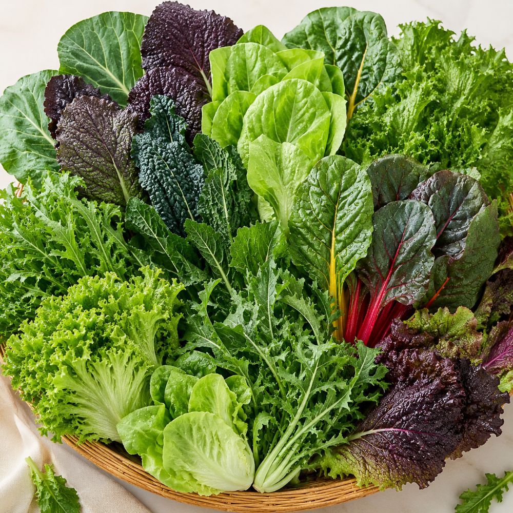 팜보스 국내산 모듬 쌈채소 랜덤 500g 1kg 쌈밥 샐러드용 보냉포장