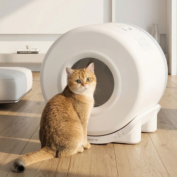 고양이 자동 화장실 컴피 스마트2