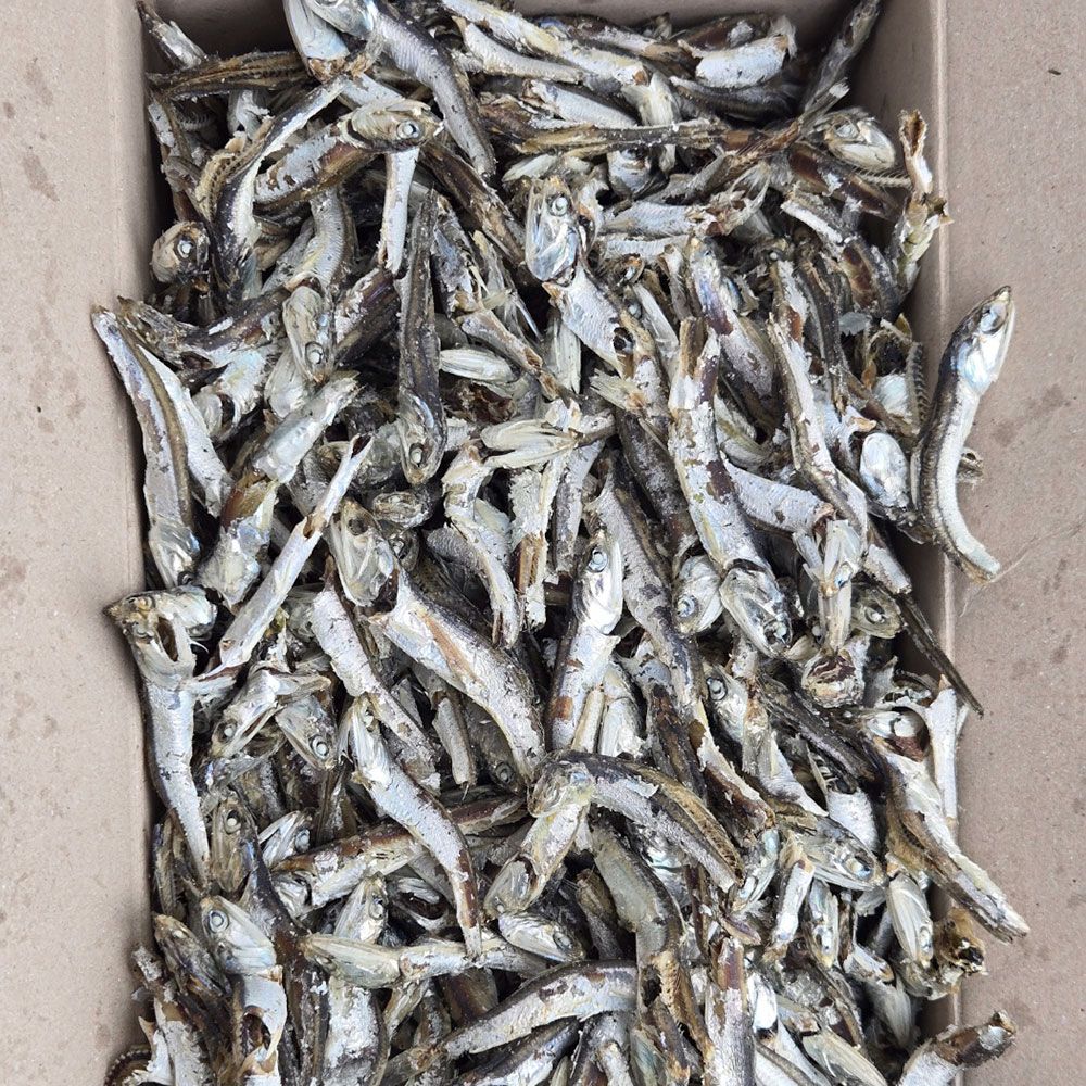바다찬미 가락시장직송 국내산 햇 다시멸치 1.5kg 국물용멸치