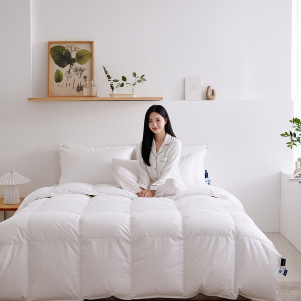 프리미엄 헝가리산 구스 이불솜 가격 비교 컴포플러스 프리미엄 헝가리산 구스 이불솜