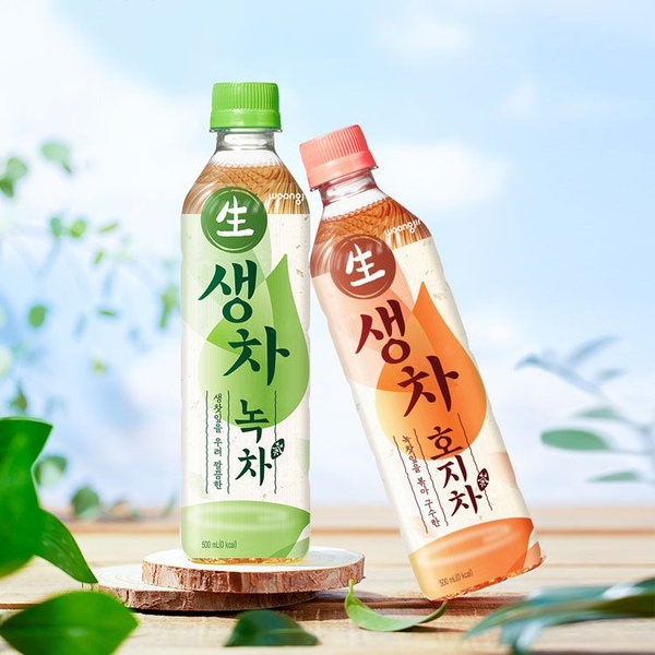 [12+12] 생찻잎의 깔끔함! 생차 녹차/호지차 500mL 2종 골라담기