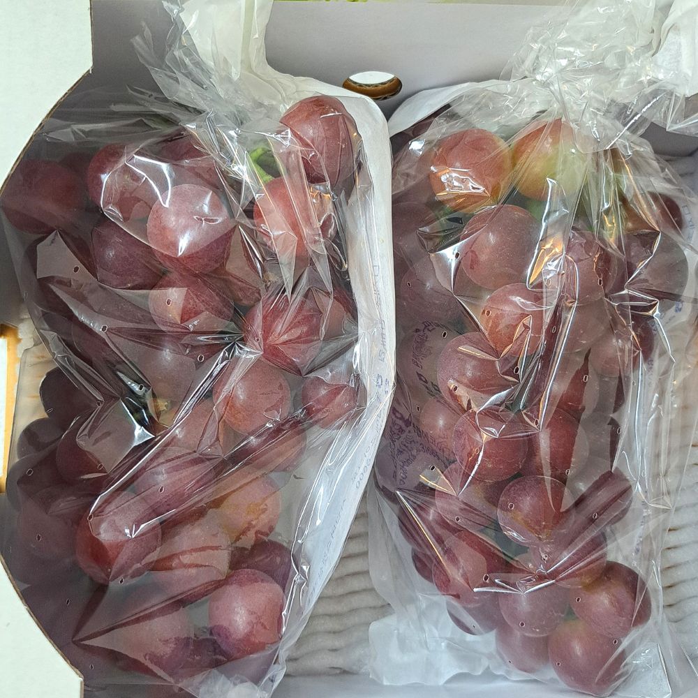 국내산 레드클라렛 포도 1kg / 2kg 씨없이 껍질째 먹는 프리미엄 포도 가격 비교 팜보스 국내산 레드클라렛 포도 1kg / 2kg 씨없이 껍질째 먹는 프리미엄 포도