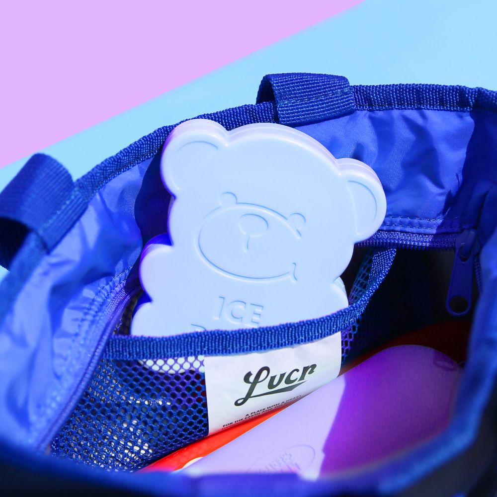 지켜쿨 도시락 아이스팩 2종 세트 (4colors) 보냉 도시락 캠핑 가격 비교 리빙크리에이터 지켜쿨 도시락 아이스팩 2종 세트 (4colors) 보냉 도시락 캠핑