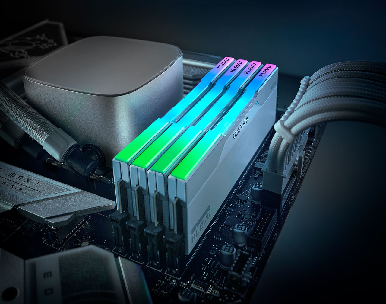 클레브 6000 CL30 CRAS V RGB 화이트 AMD 패키지 32GB(16Gx2)