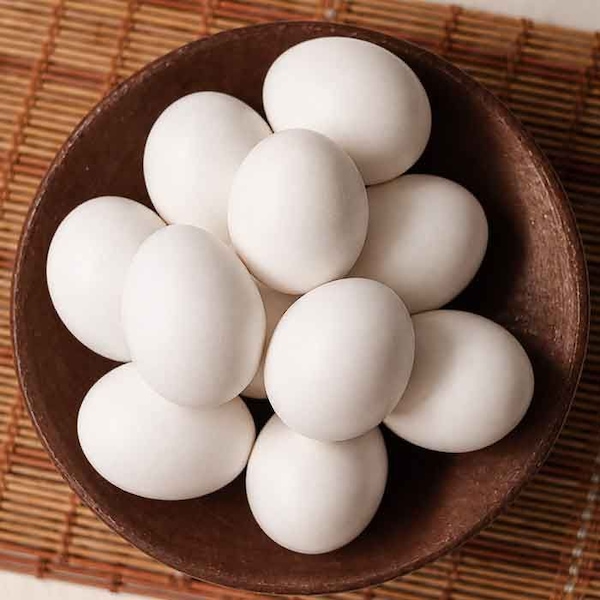 늘신선 [동물복지] 농장직송 국내산 백색 유정란 30구+30구/ 대란