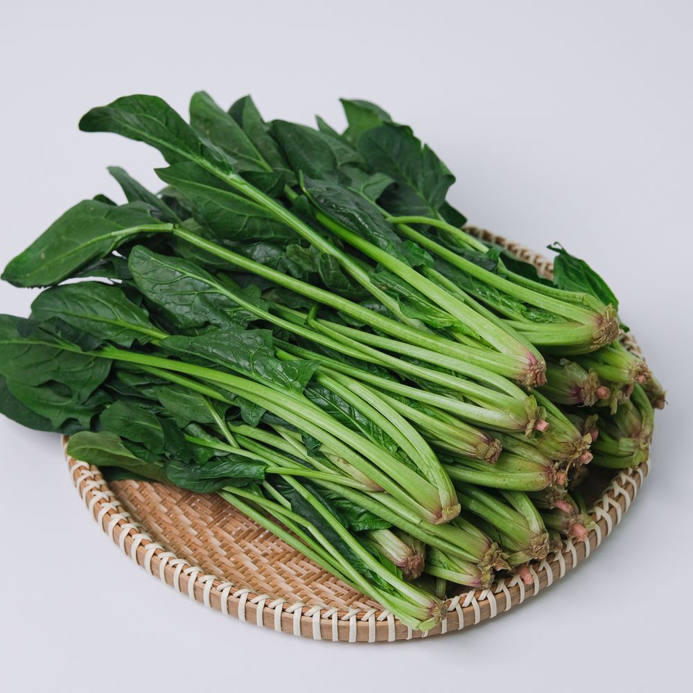 제철 국내산 시금치 1kg 실중량 가격 비교 산지직송연구소 제철 국내산 시금치 1kg 실중량