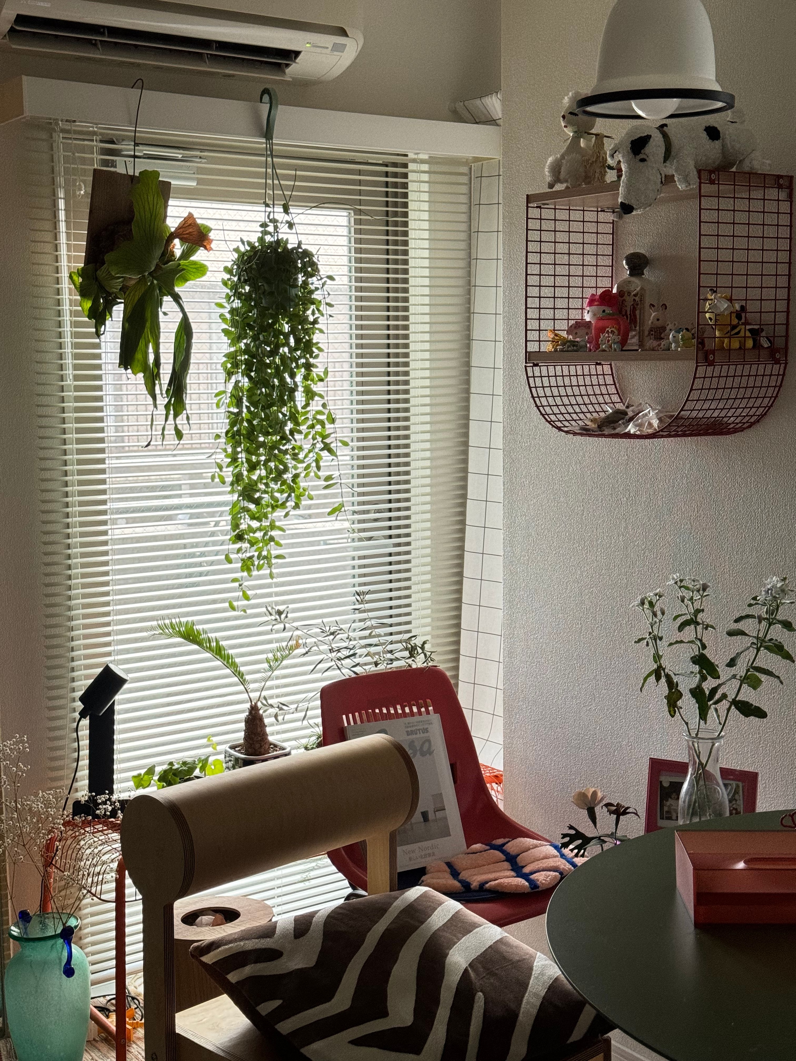 IKEA (SVENSHULT スヴェンスフルト)ウォールシェルフ SVENSHULT スヴェンスフルト ウォールシェルフ, グレーグリーン