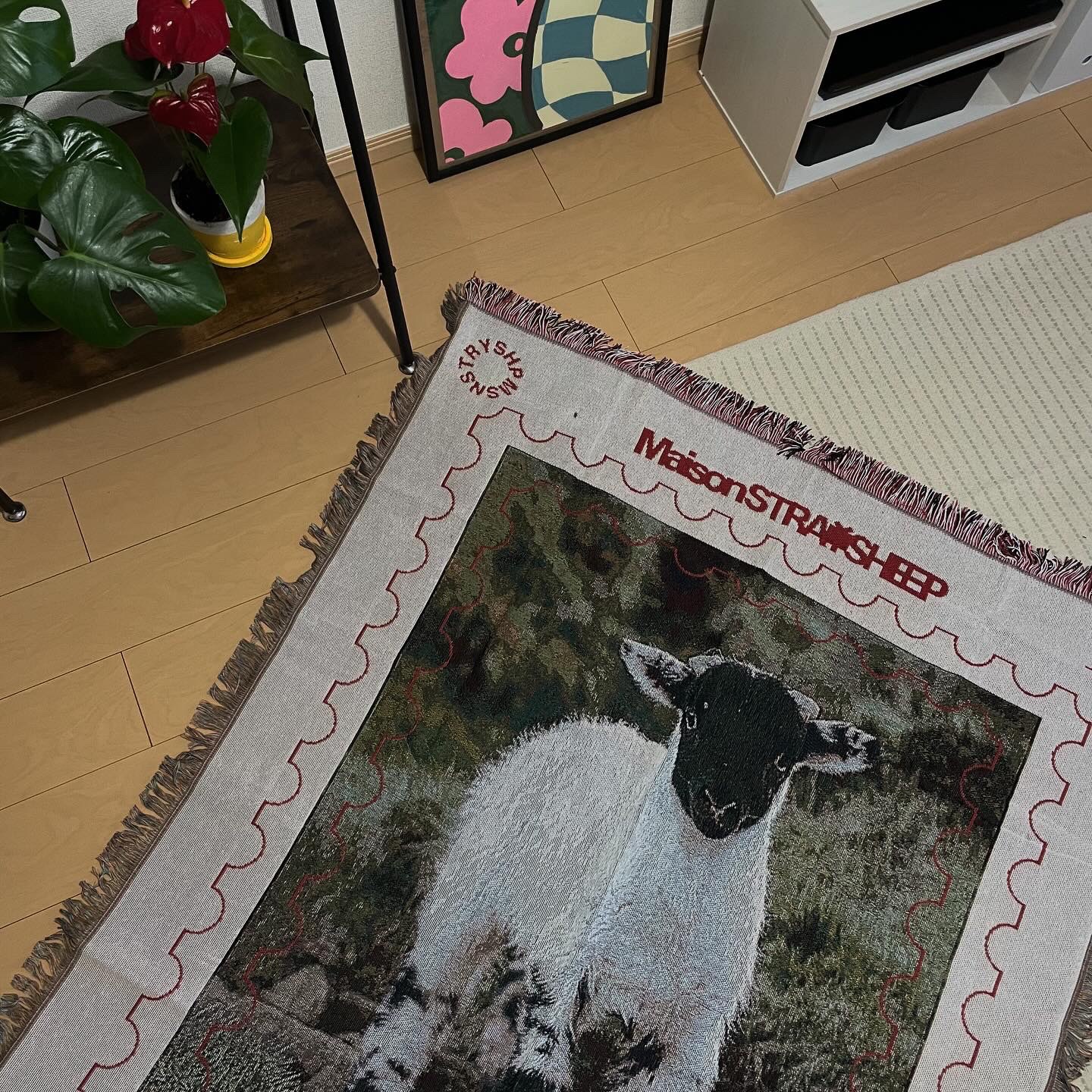 MAISONSTRAYSHEEP