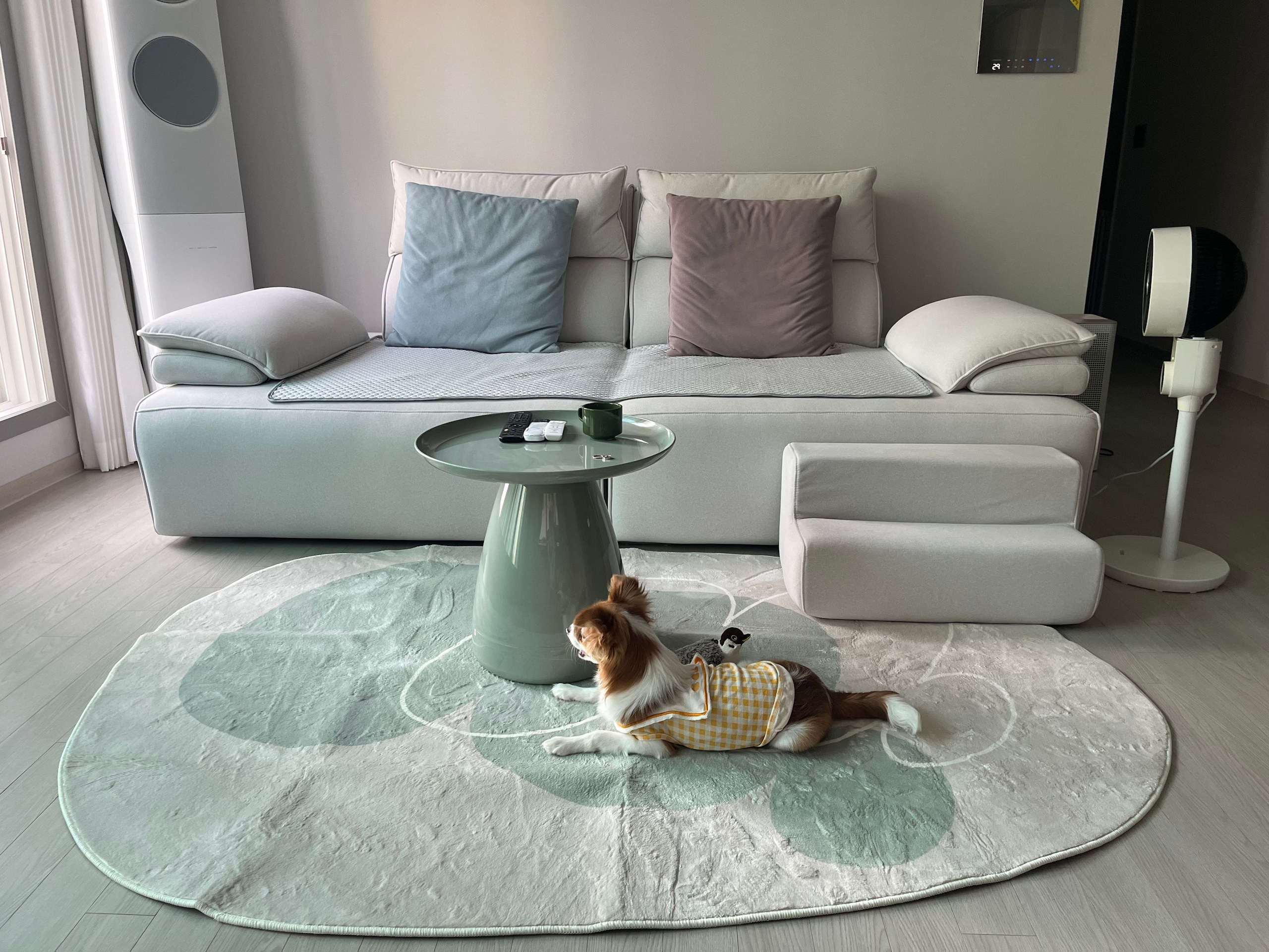 Glossy Ceramic Cup & Saucer Set user photo
