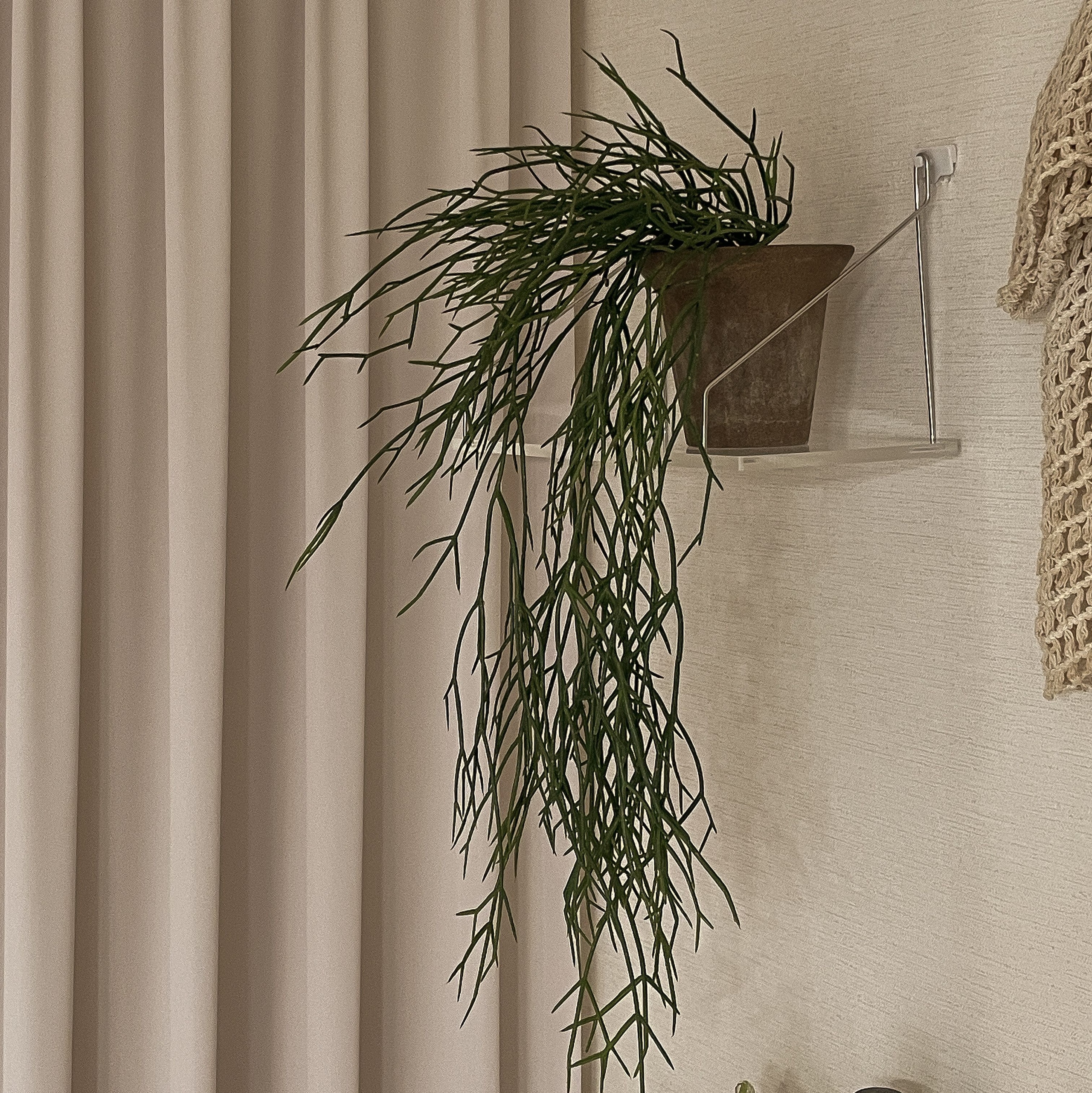 No-Drill Clear Acrylic Wall Shelf user photo