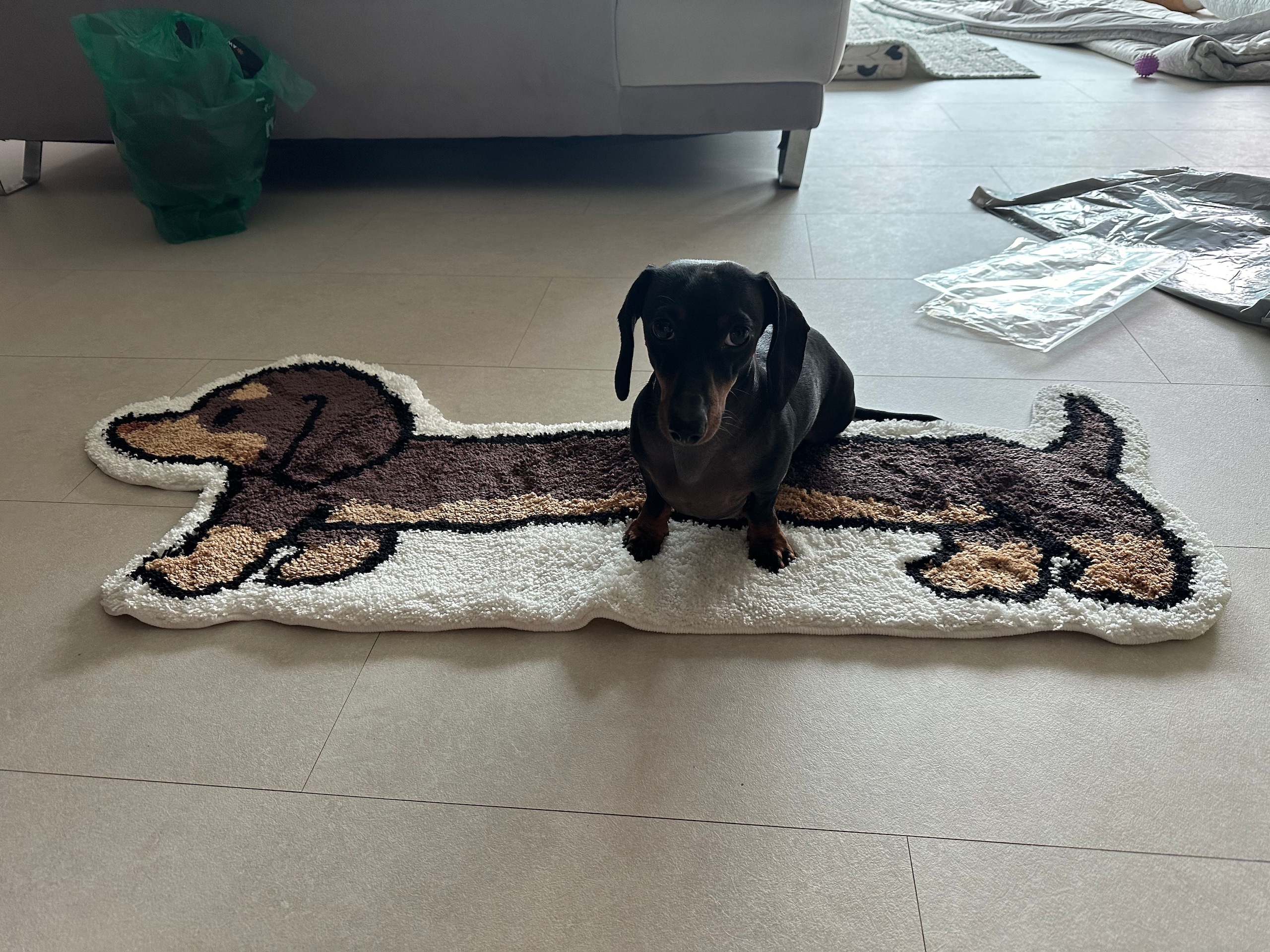 Dachshund Tufted Accent Rug user photo