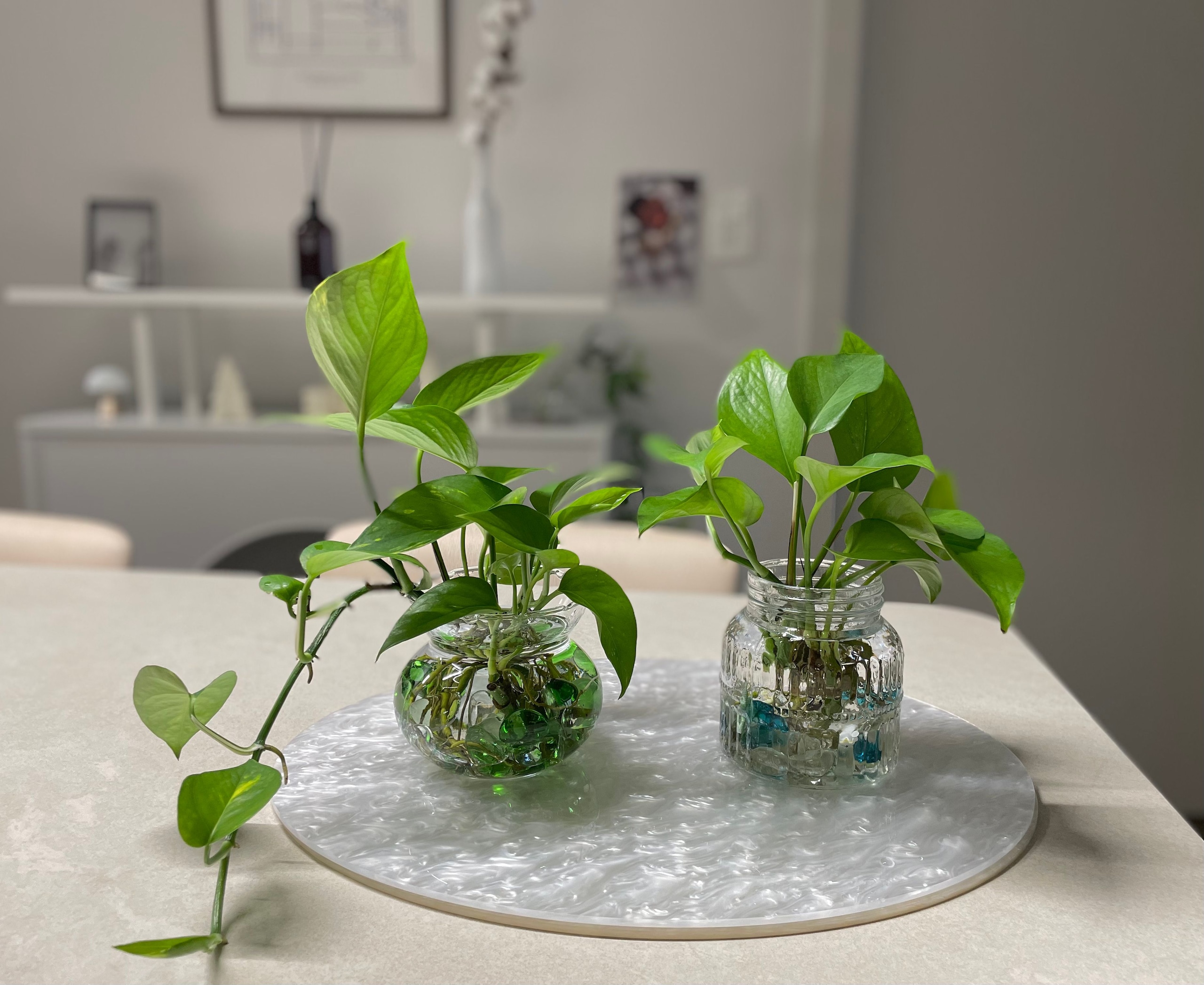 수경재배기 | 라이프스타일 슈퍼앱, 오늘의집