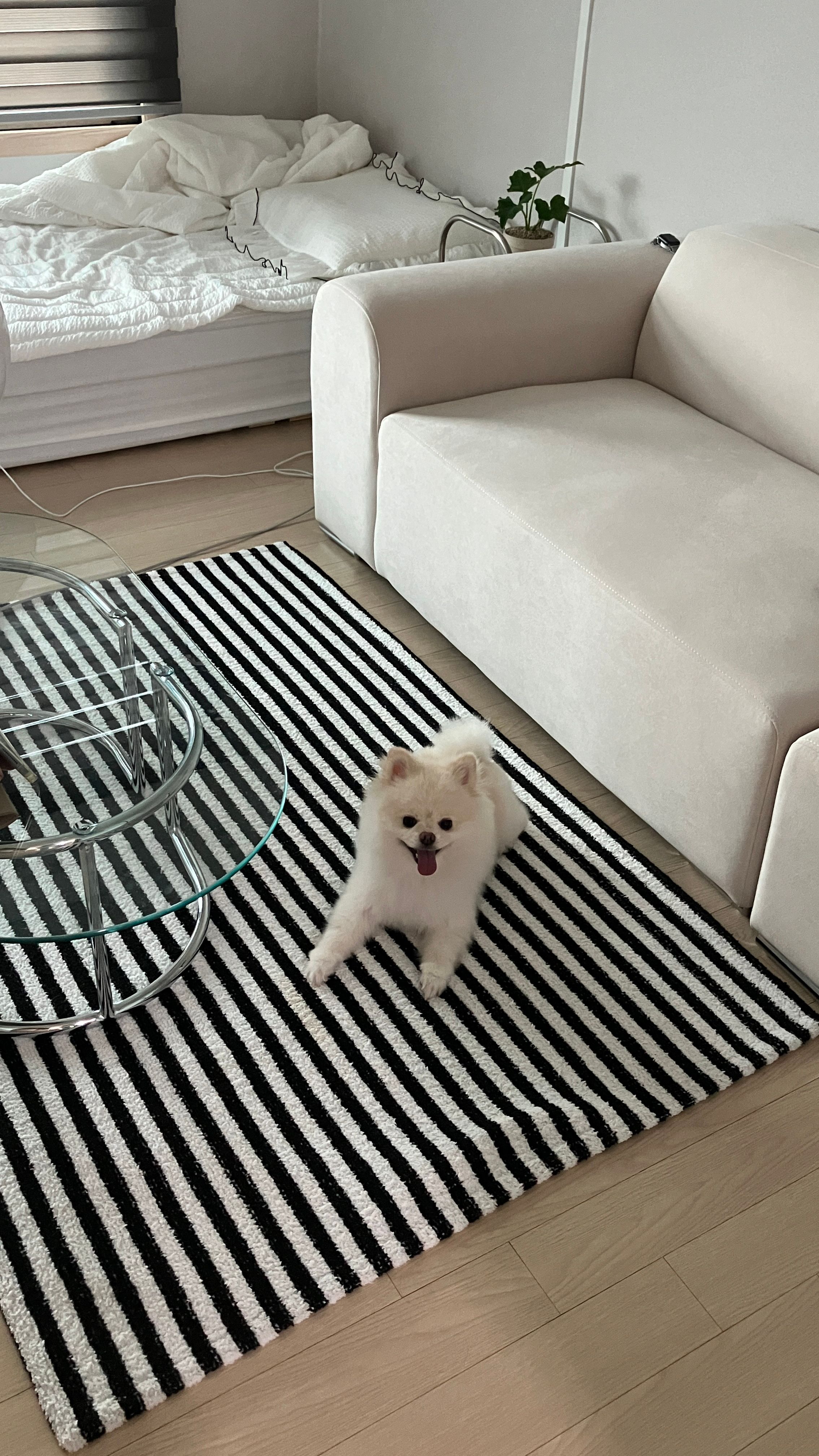Point Striped Textured Rug user photo