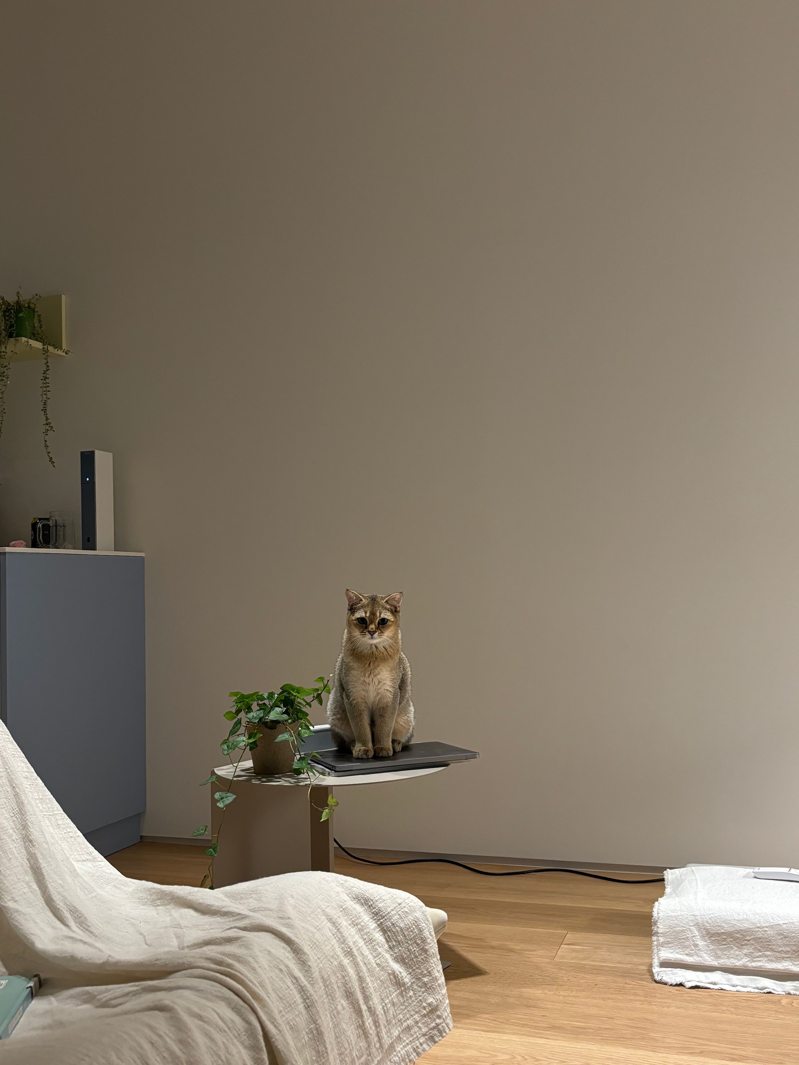 Round Side Table with Built-In Bookshelf user photo