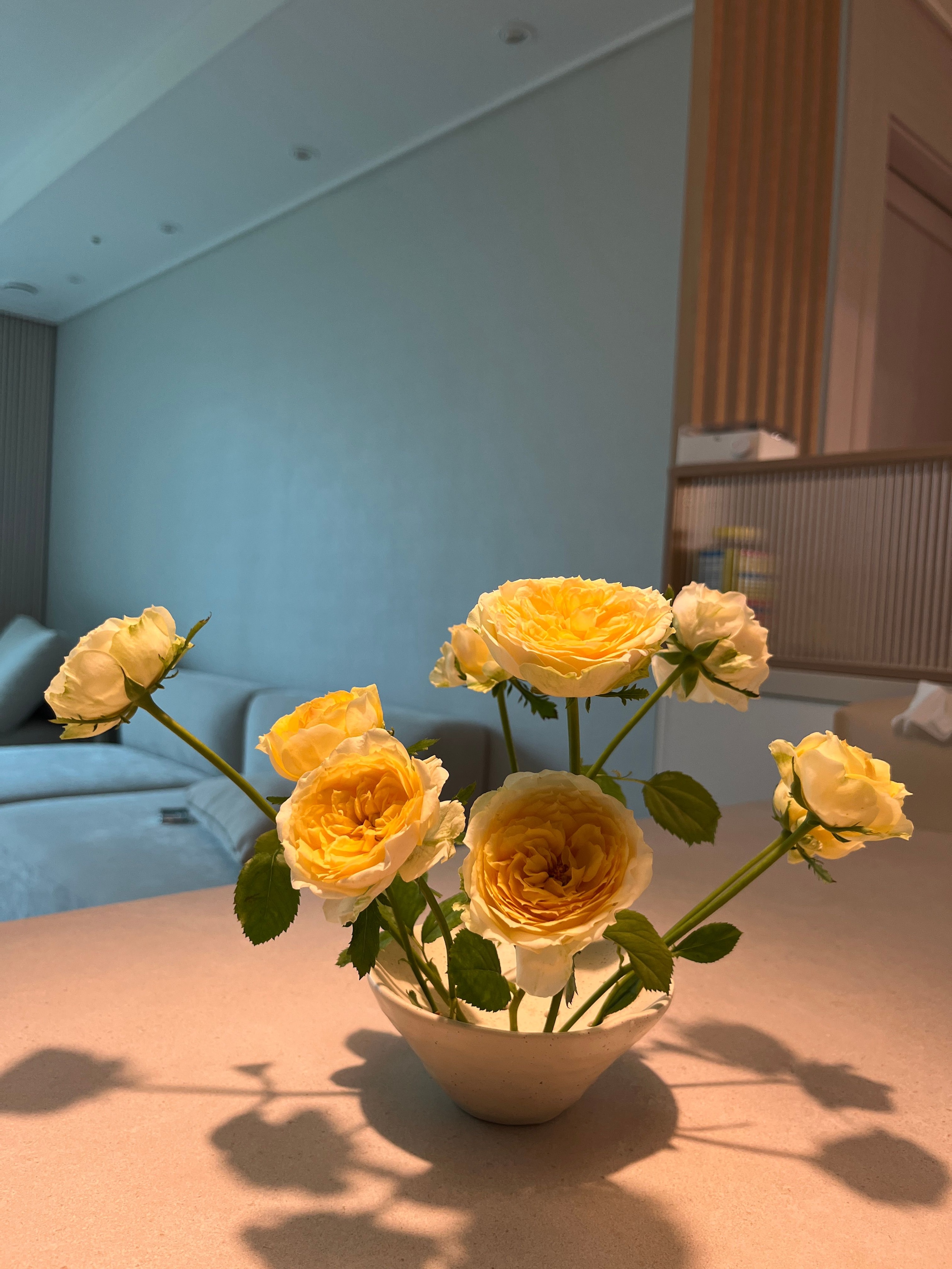 Ikebana Ceramic Vase user photo