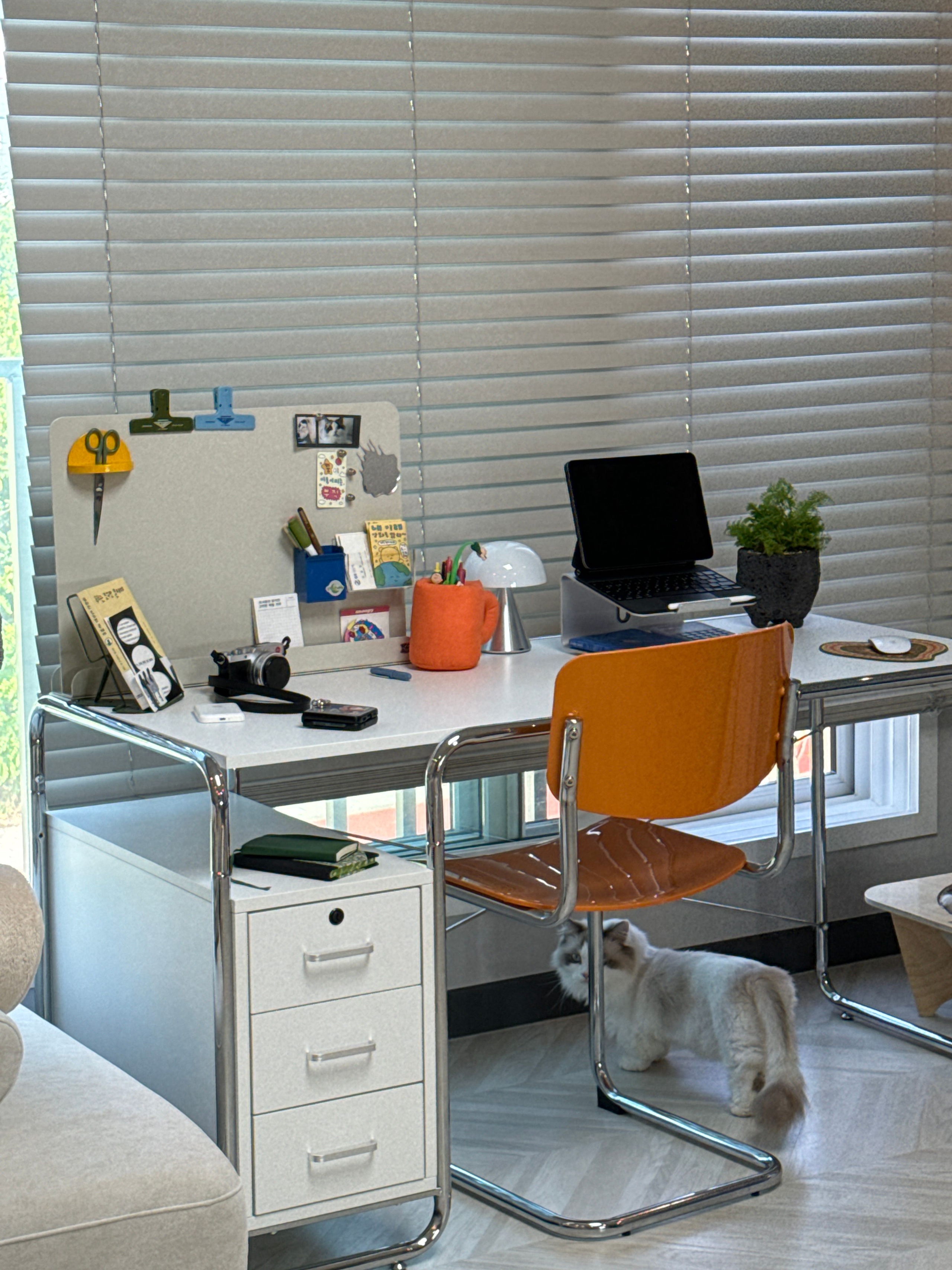 LIVING HIP SOCIAL ミッドセンチュリーモダン デスク A 120㎝［2色