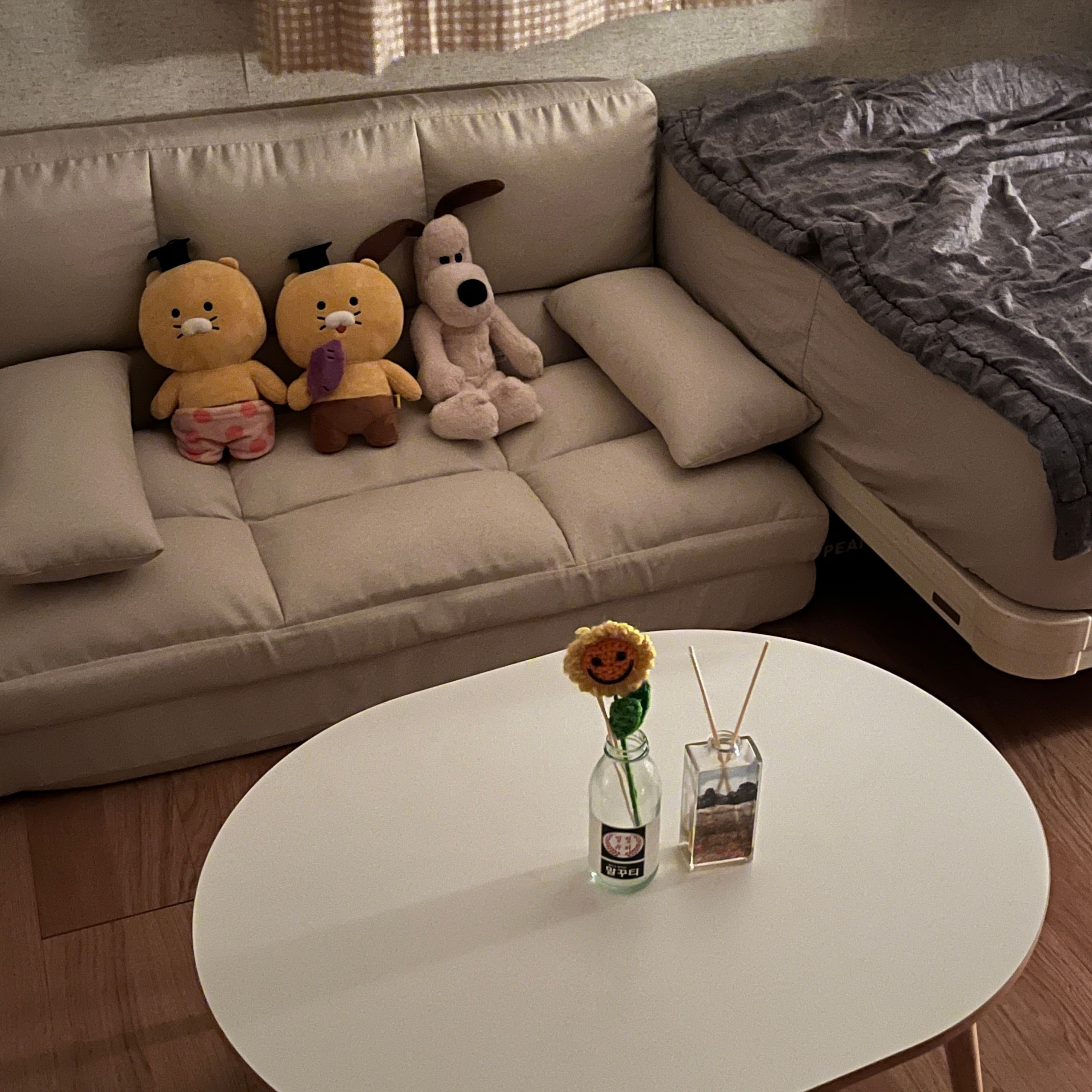 Plain Living Room Coffee Table user photo