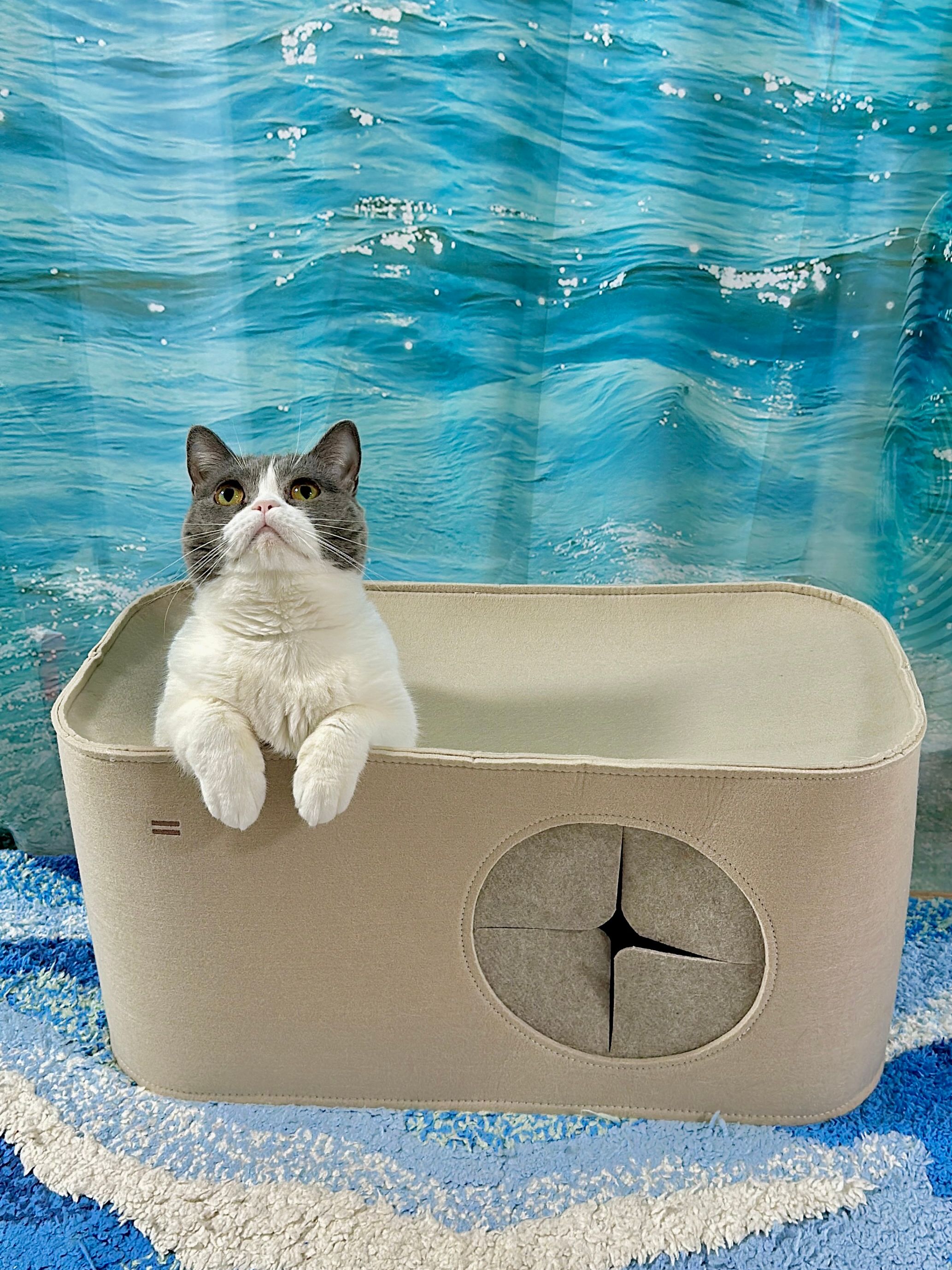 Wavy Blue Tufted Rug user photo