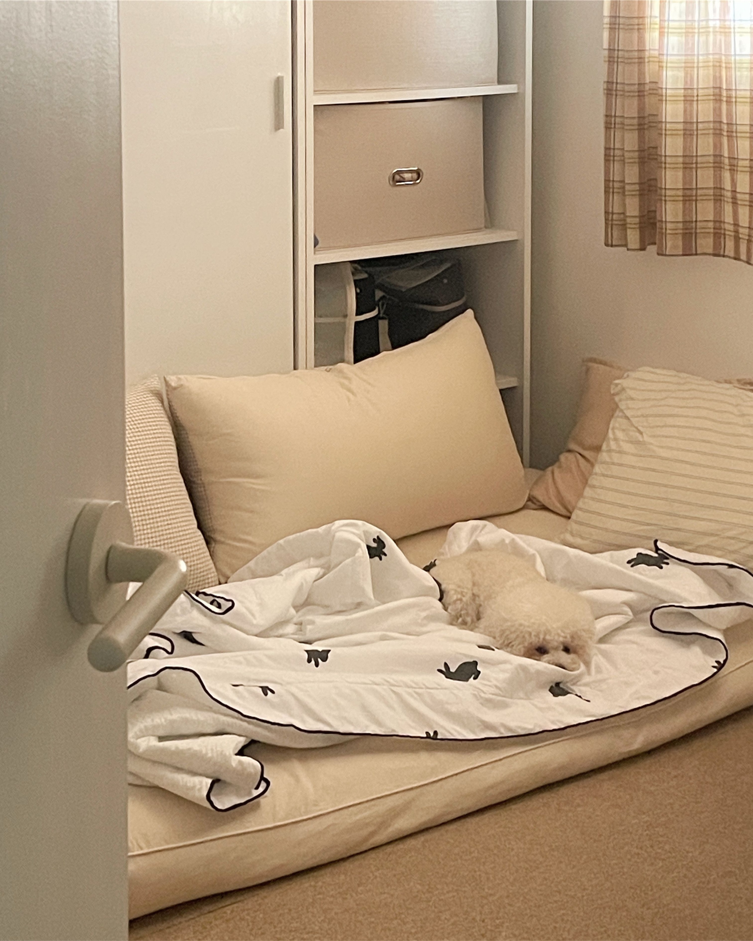 Summer Bunny Cool-Touch Seersucker Comforter Set user photo
