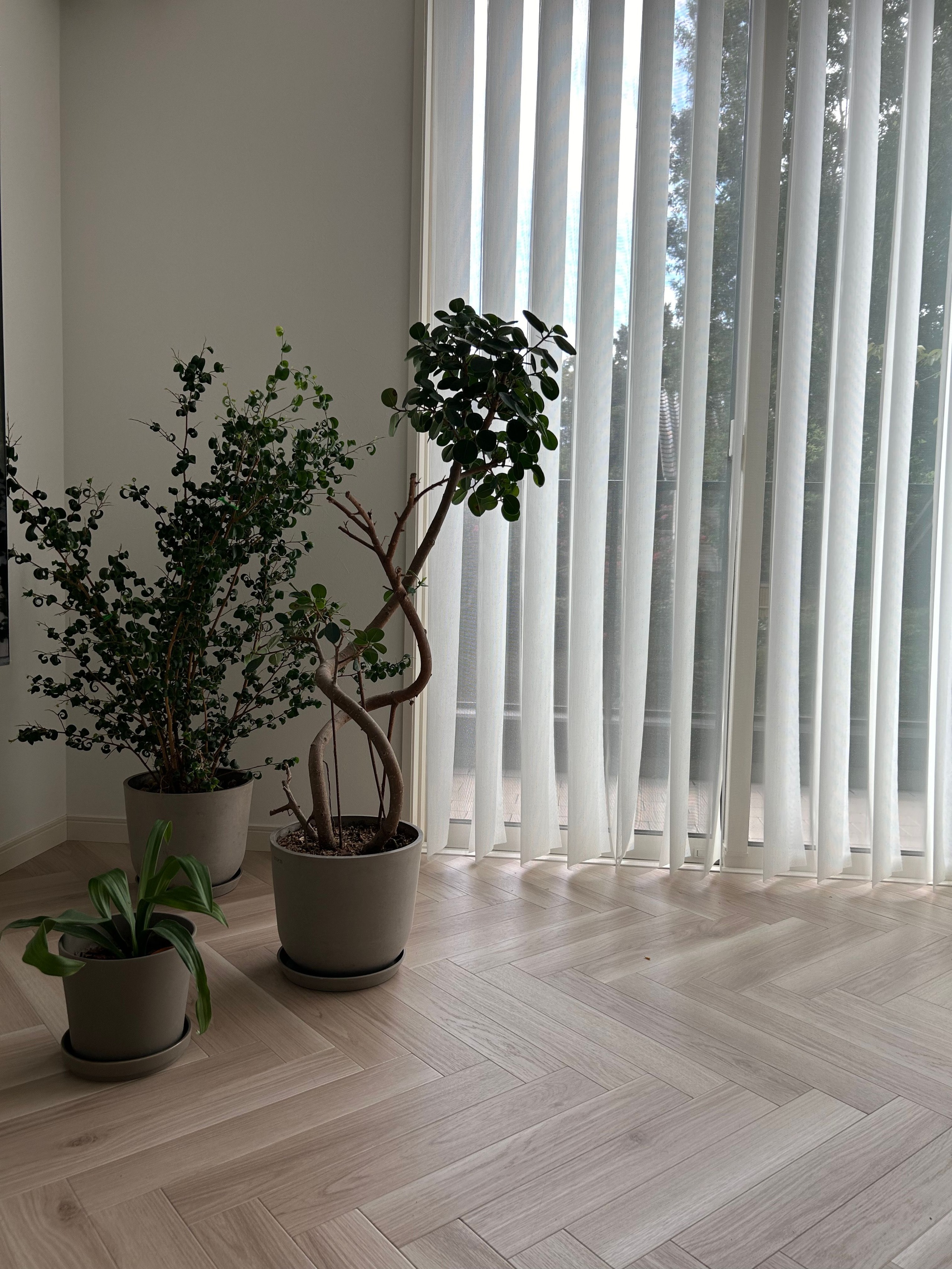 Tuiss Décor 遮光 ナチュラル ホワイト バーチカルブラインド | Window