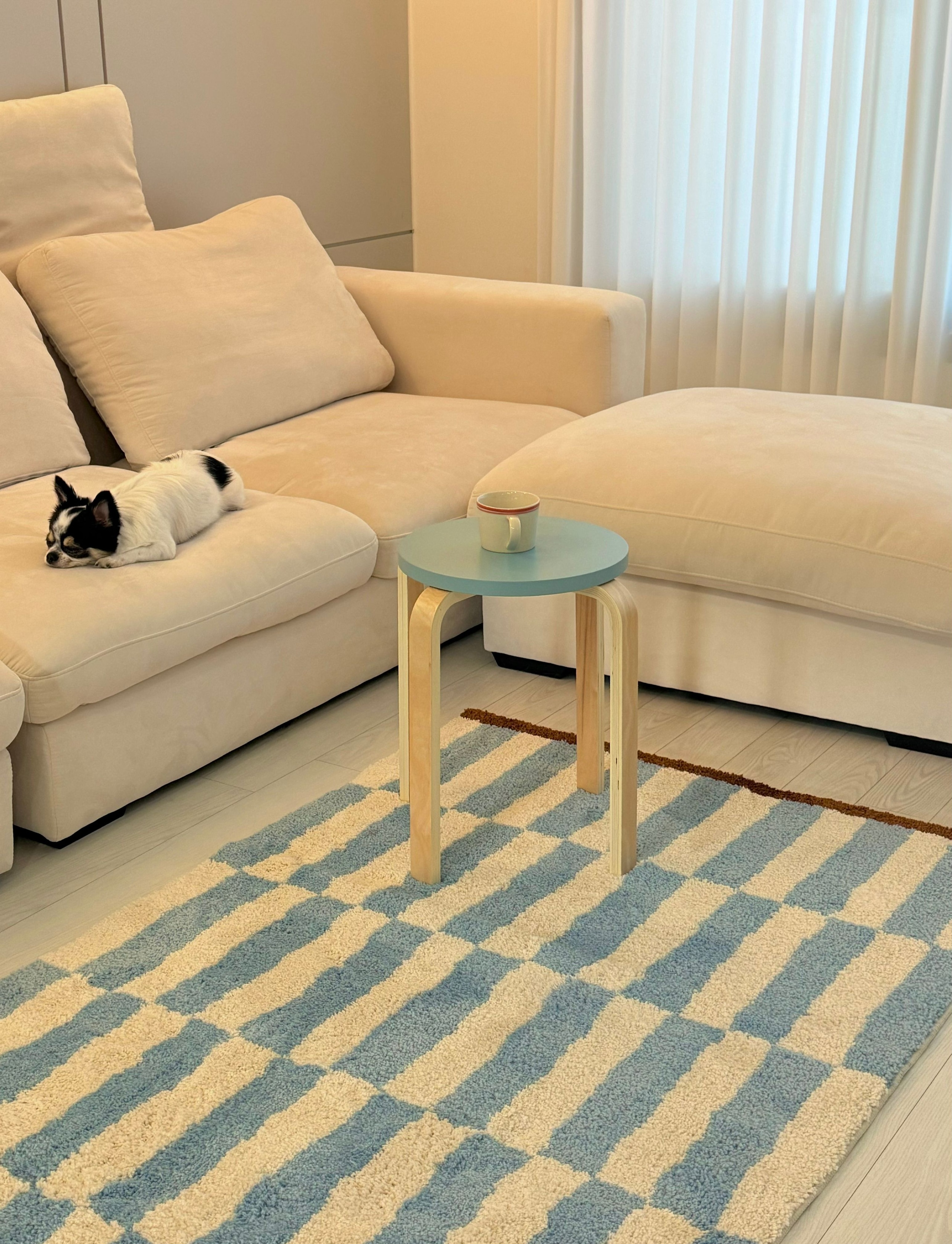 BWTZ Everyday Jacquard Long-Pile Area Rug user photo