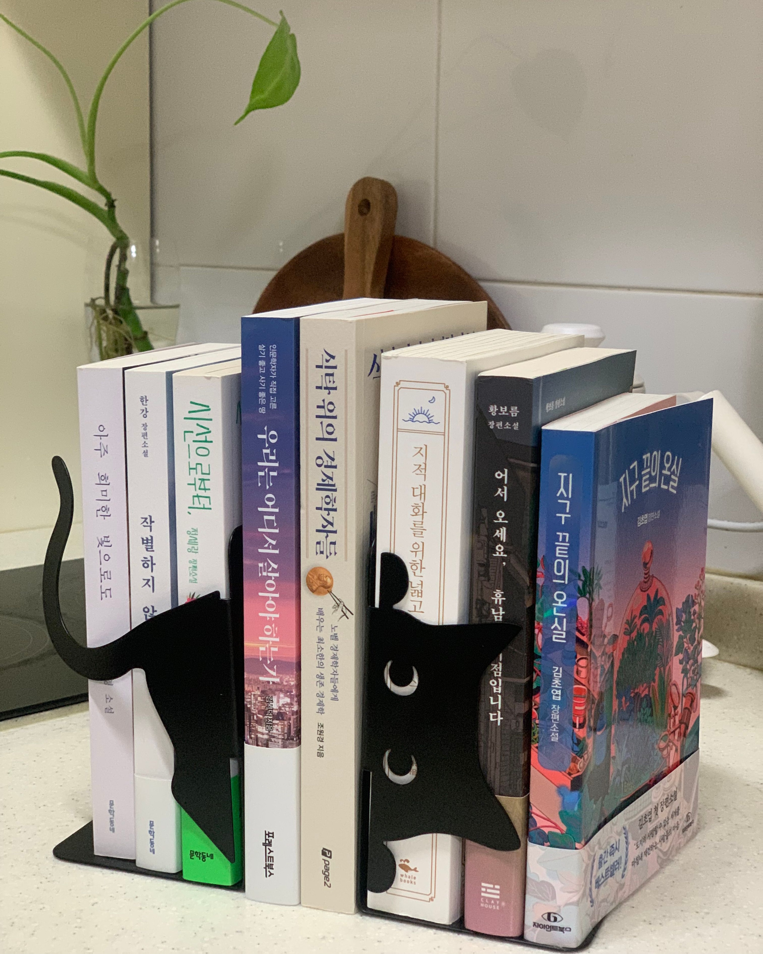 Peeking Black Cat Bookend user photo