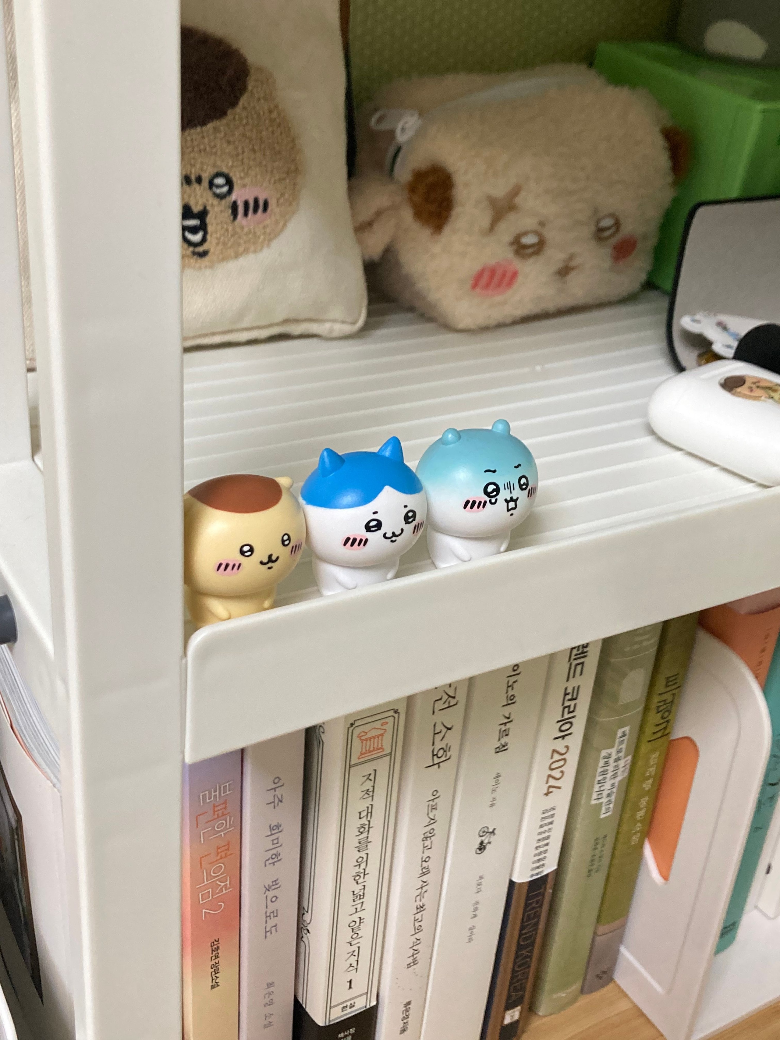 Adjustable Desk Storage Shelf (2-Tier) user photo
