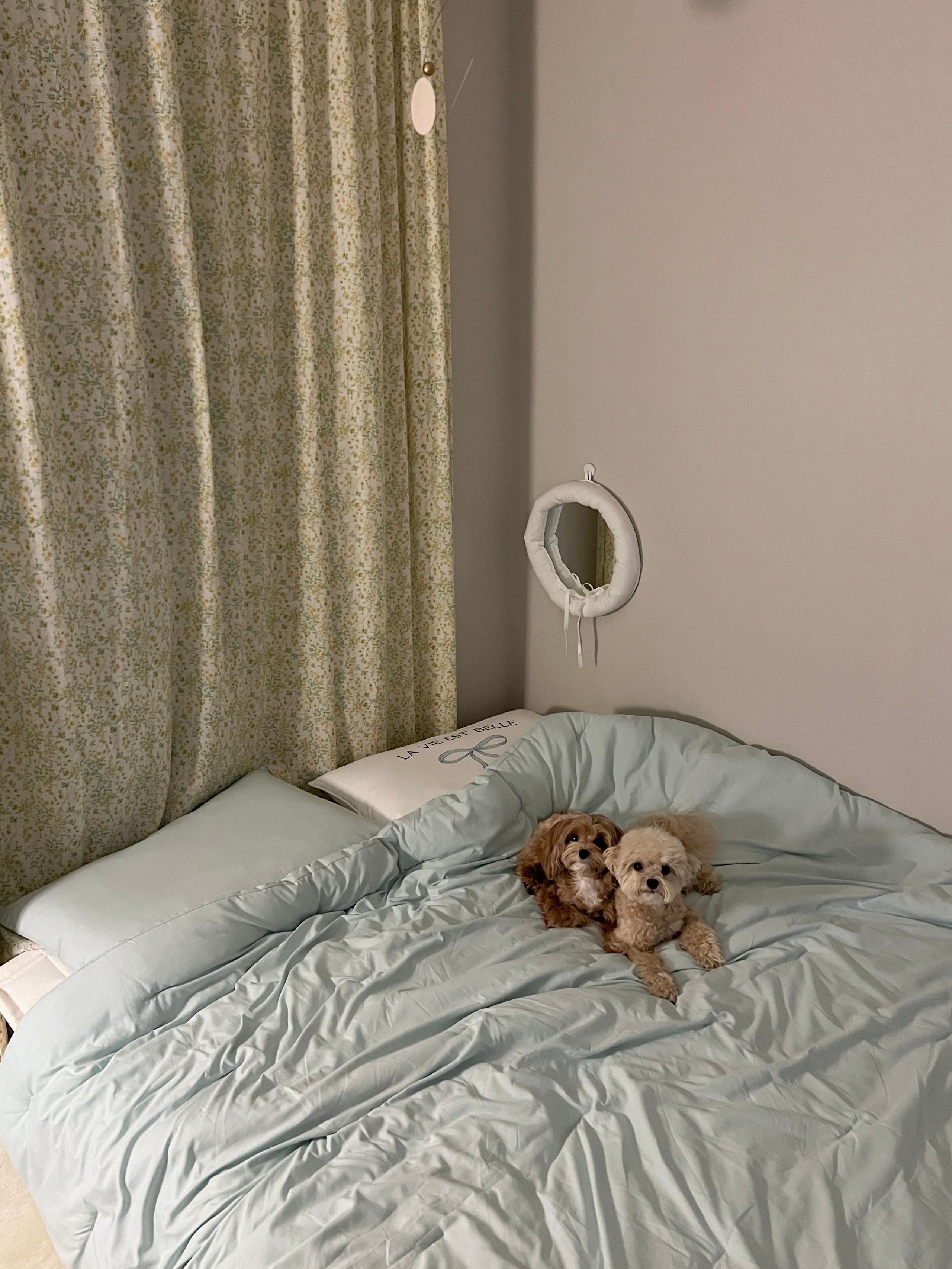 Soft Sleep Microfiber Mattress Fitted Sheet user photo