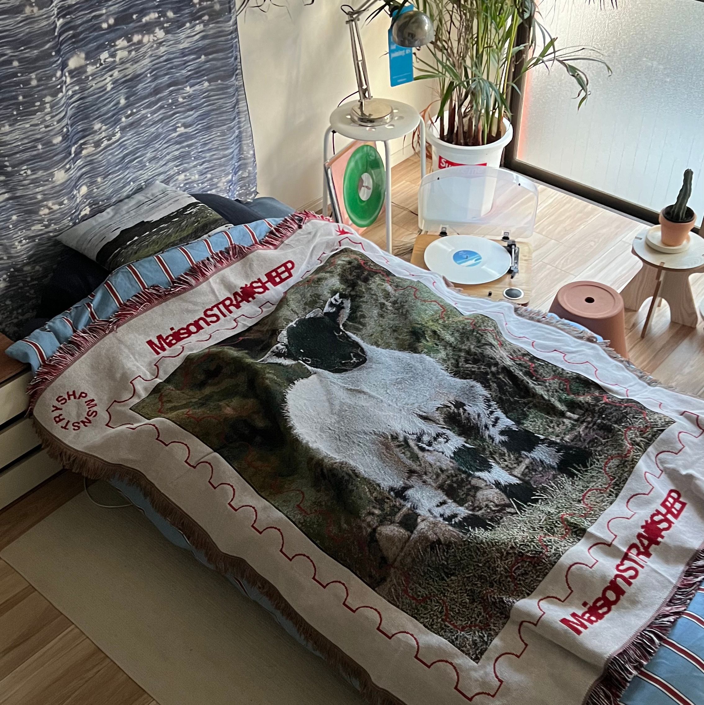 MAISONSTRAYSHEEP