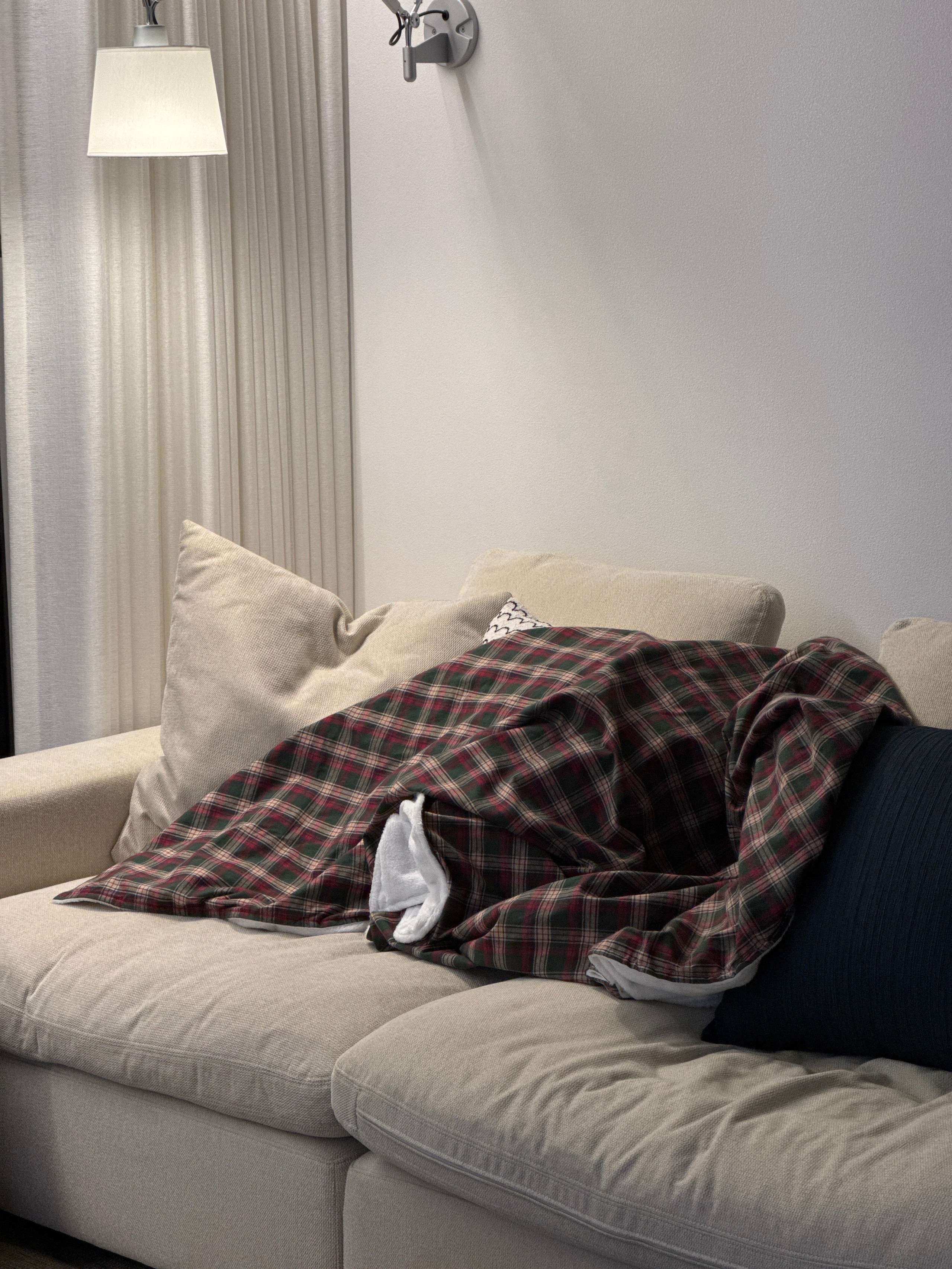 Holiday New York Check Microfiber Blanket user photo