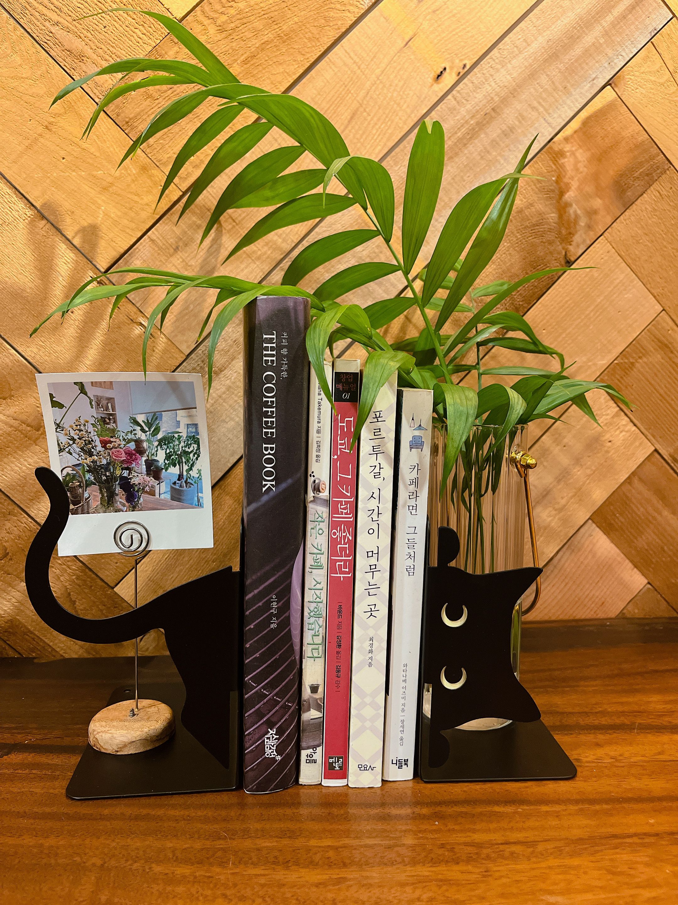Peeking Black Cat Bookend user photo