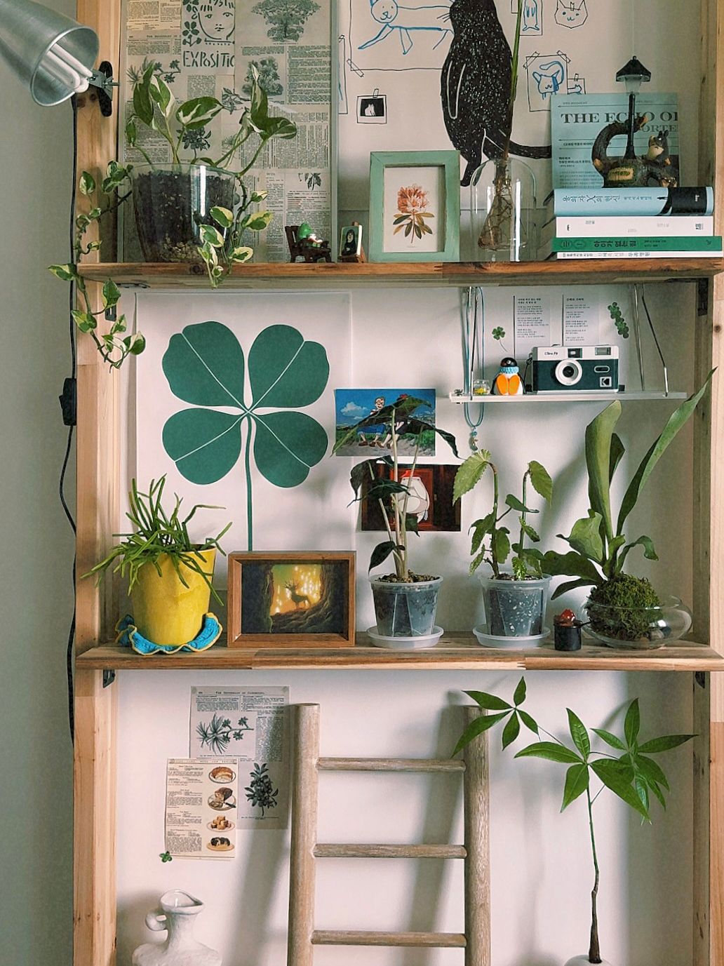 No-Drill Clear Acrylic Wall Shelf user photo